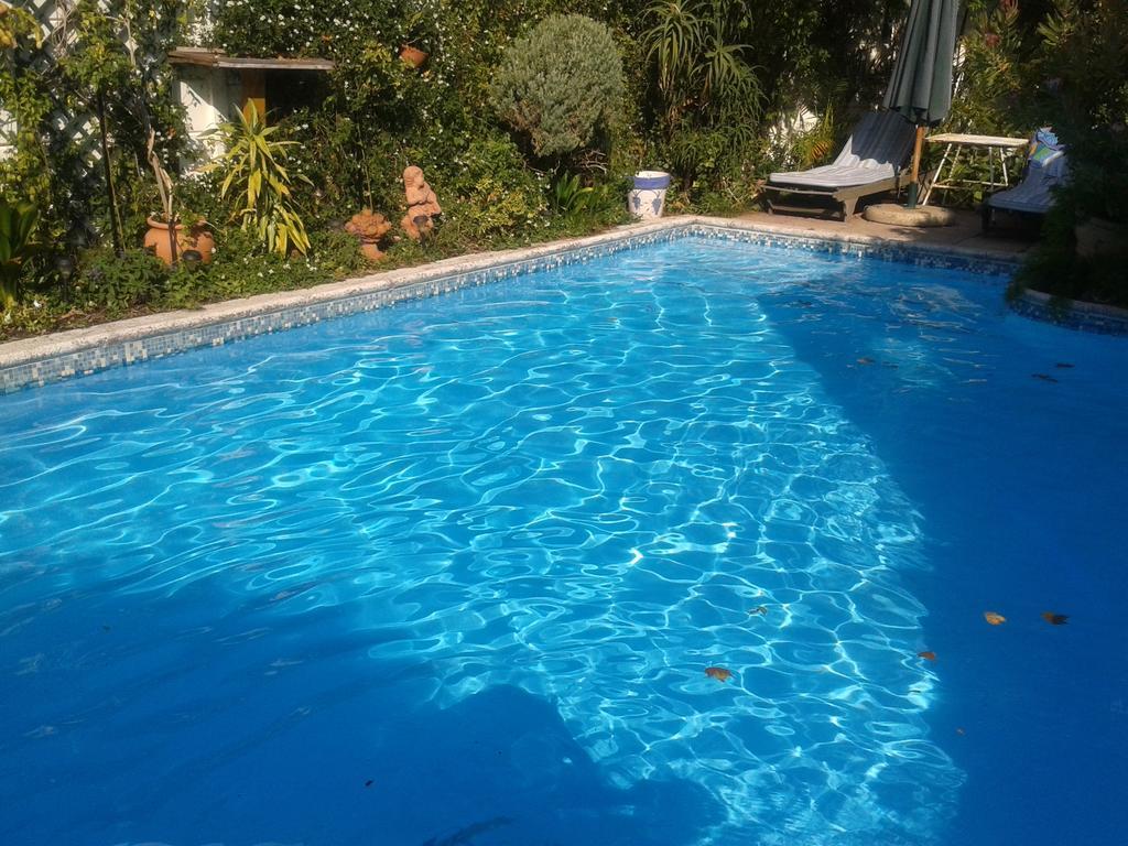 קייפטאון Glenhaven Guesthouse מראה חיצוני תמונה