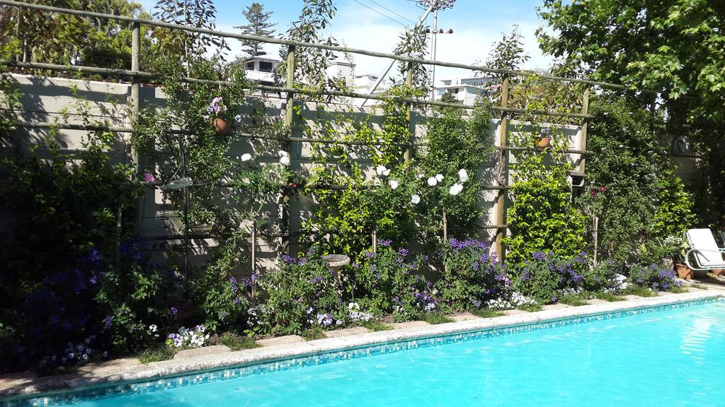 קייפטאון Glenhaven Guesthouse מראה חיצוני תמונה