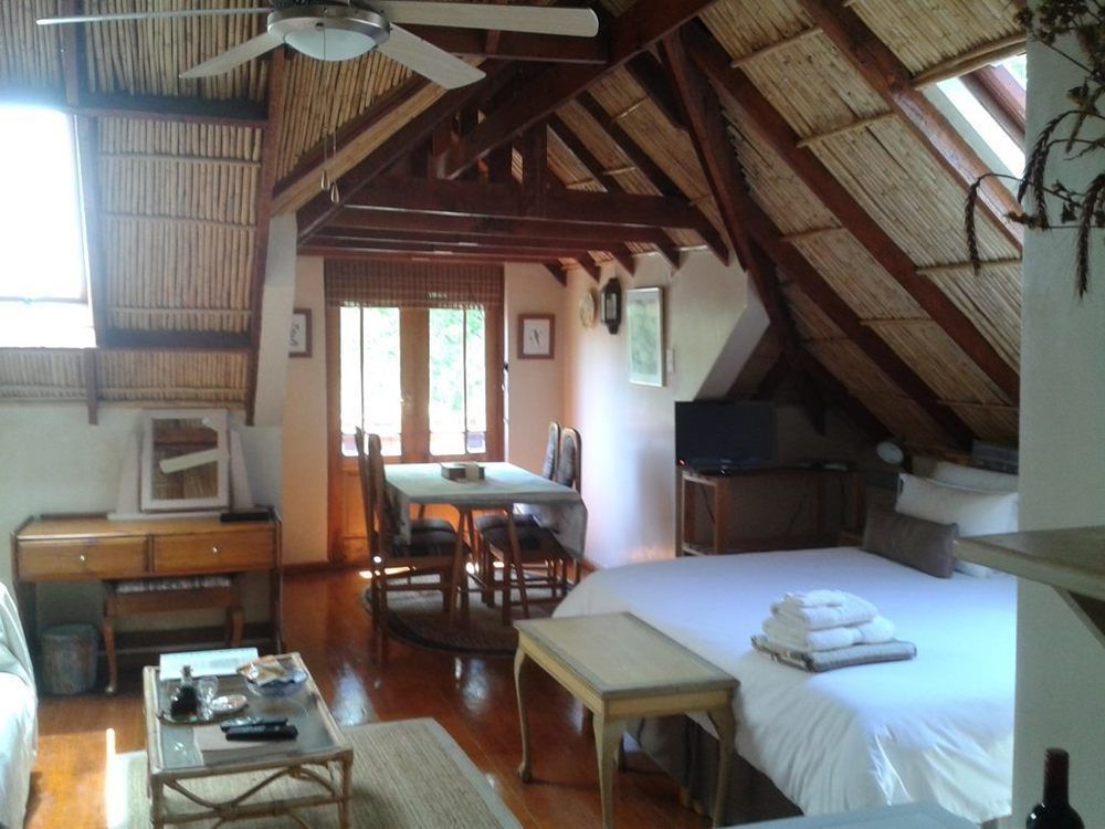 קייפטאון Glenhaven Guesthouse מראה חיצוני תמונה