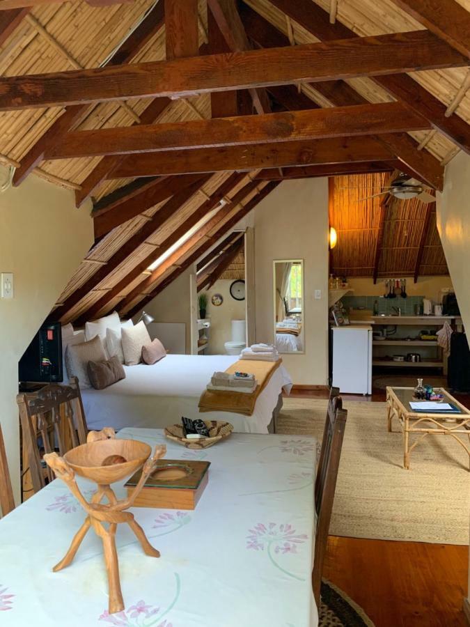 קייפטאון Glenhaven Guesthouse מראה חיצוני תמונה